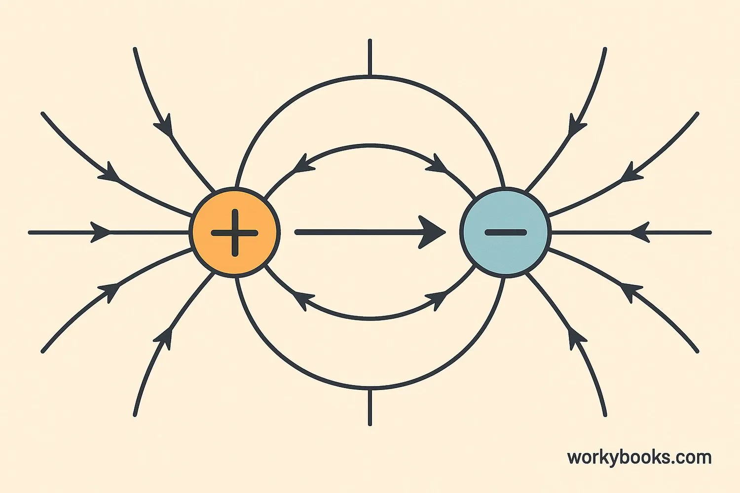 Interaction between positive and negative charges