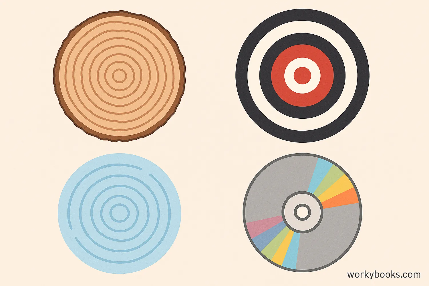 Common examples of concentric circles in nature and everyday objects