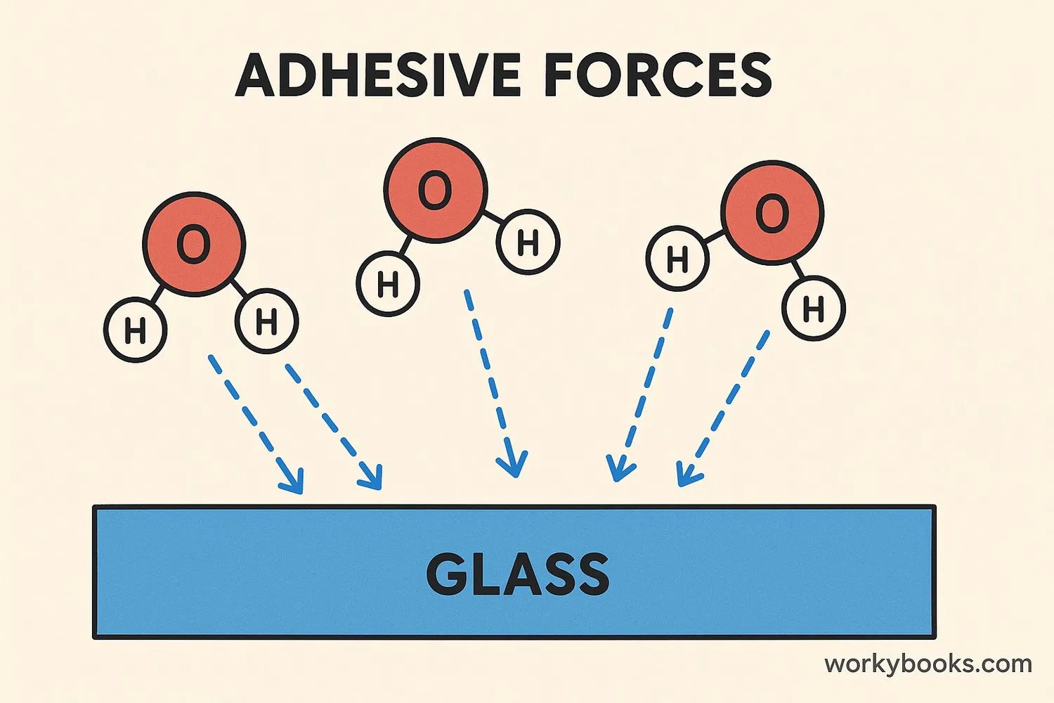 Diagram showing molecular adhesion between different substances