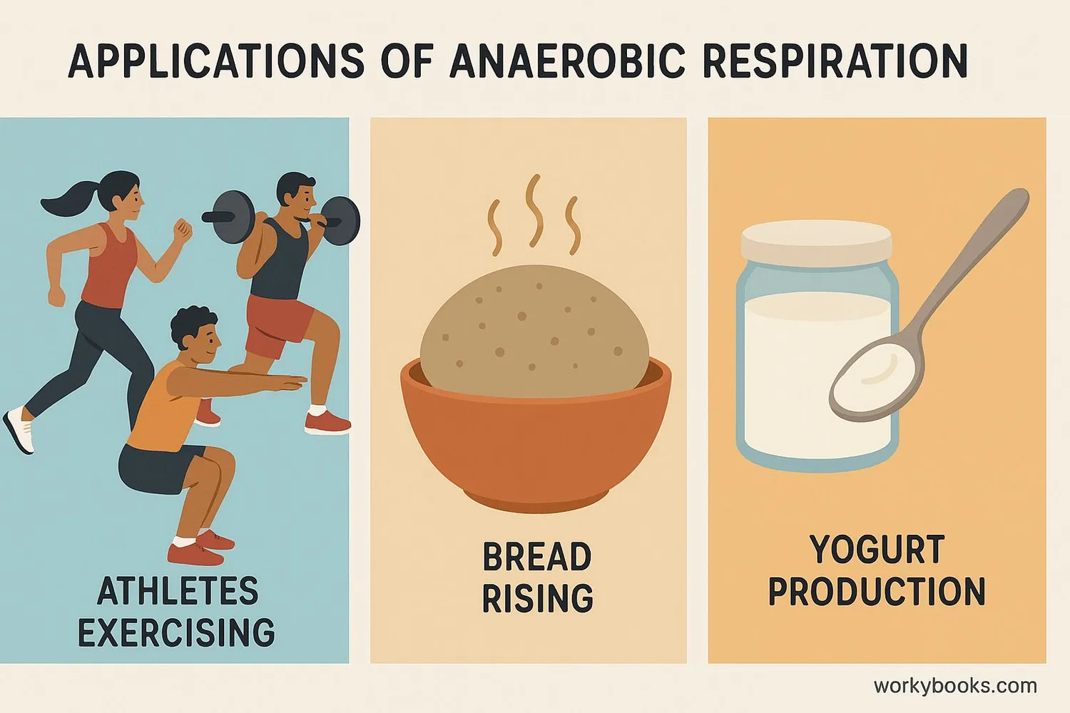 Image showing applications of anaerobic respiration