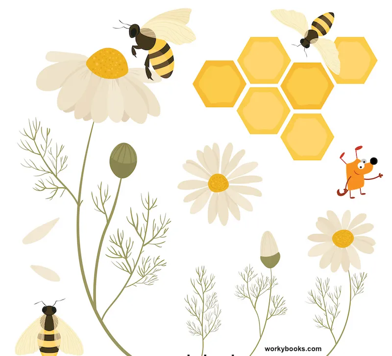 Bees-are-important-pollinators