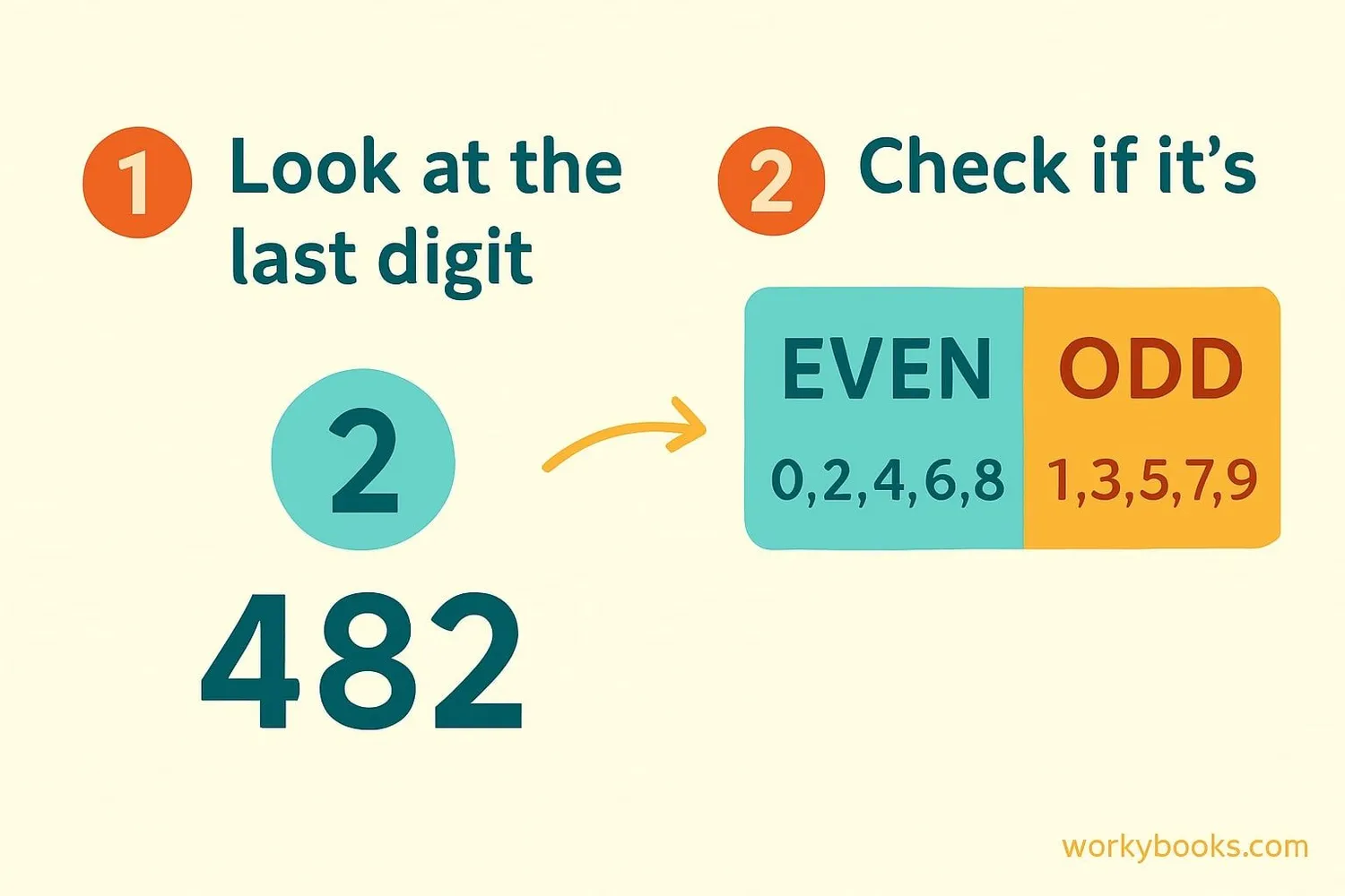 Step-by-step guide to identifying even and odd numbers