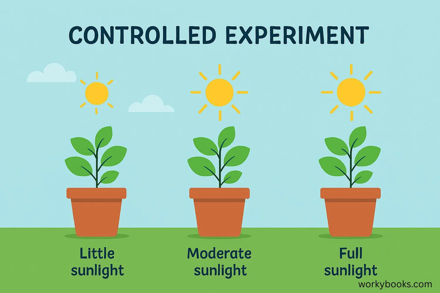 Comparison of controlled experiment vs. observational study
