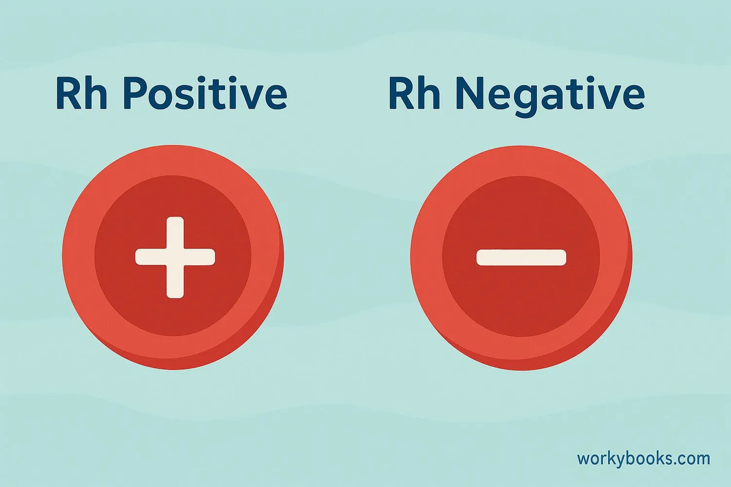 Illustration showing Rh positive and Rh negative blood cells