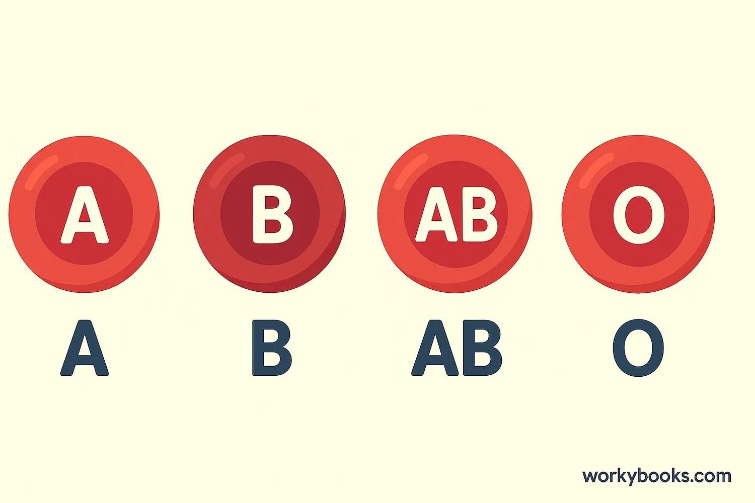 Visual representation of different blood types with colored blood cells