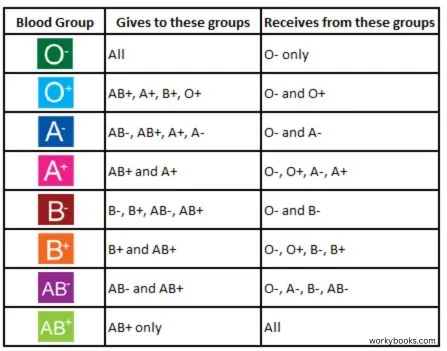 Blood transfusion compatibility chart