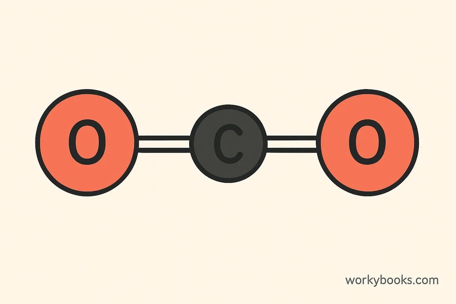 Carbon dioxide molecule structure showing one carbon atom connected to two oxygen atoms