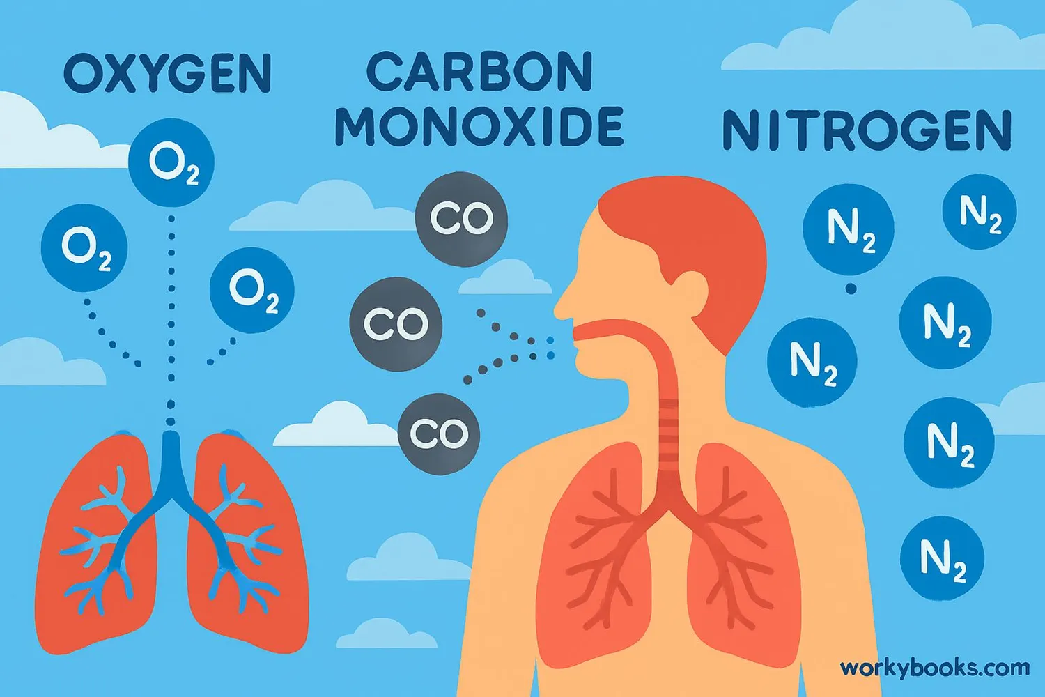 Illustration showing the importance of diatomic molecules in breathing, water, and atmosphere