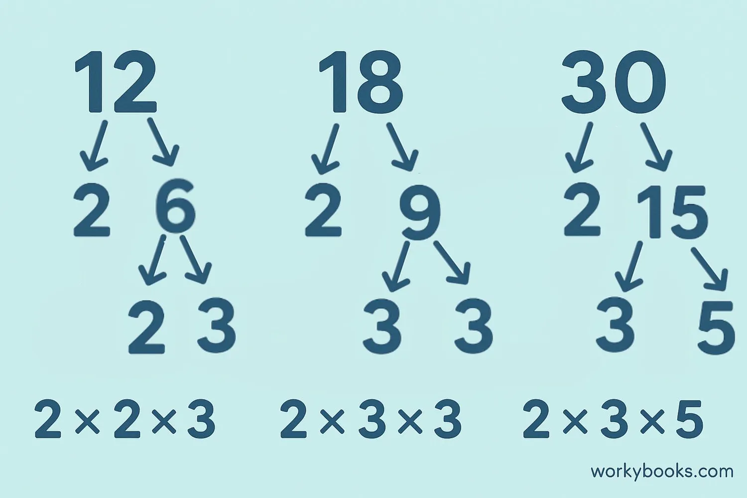 Visual representation showing numbers breaking down into prime factors