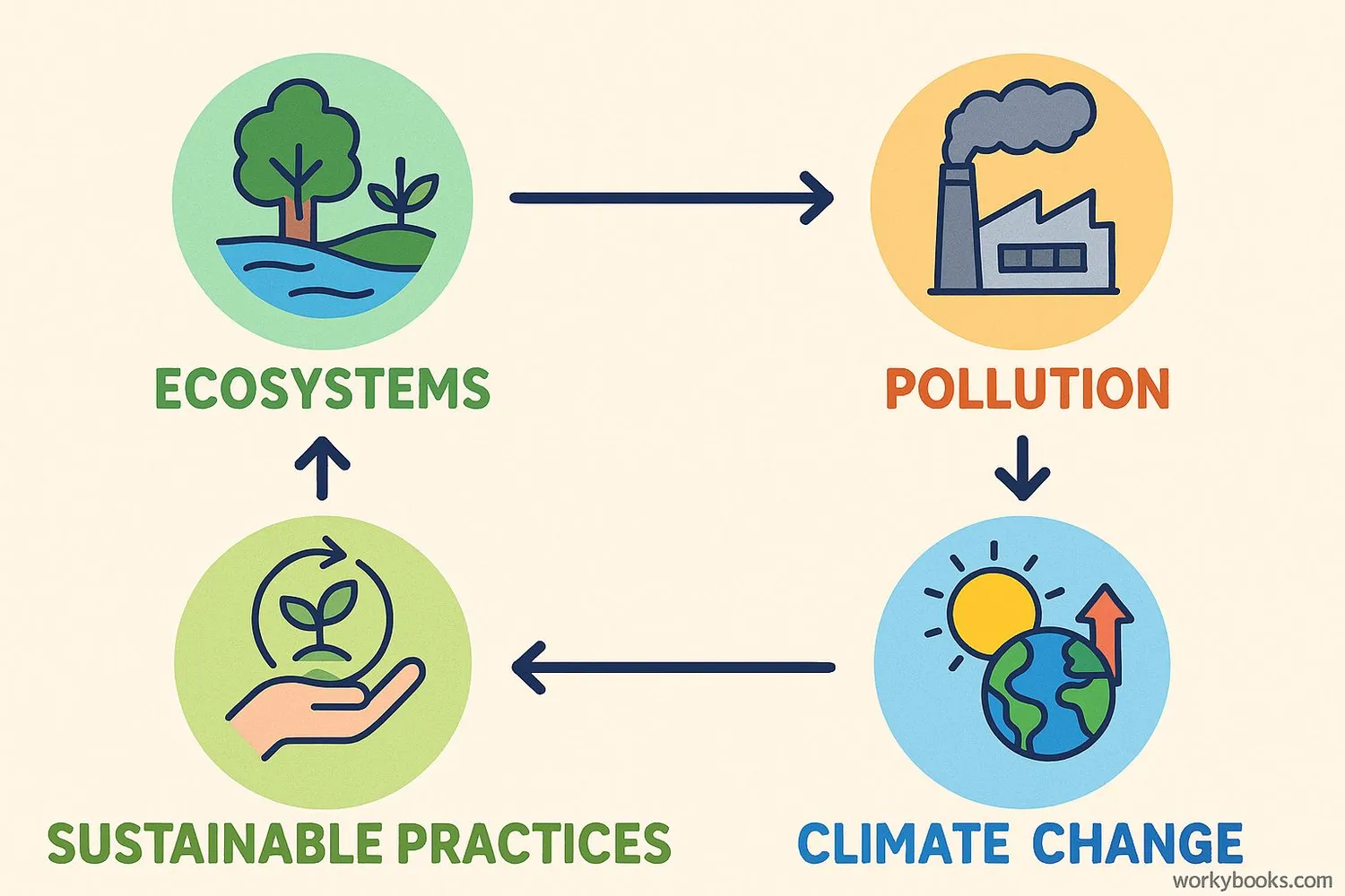 Diagram showing key environmental concepts