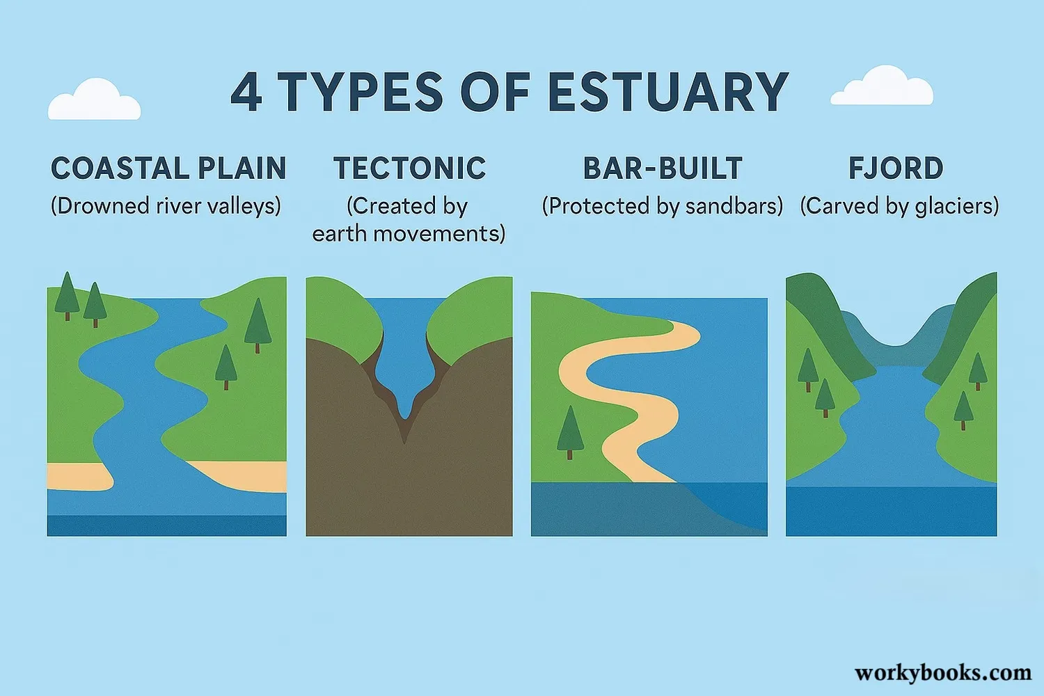 Different types of estuaries formed through various geological processes