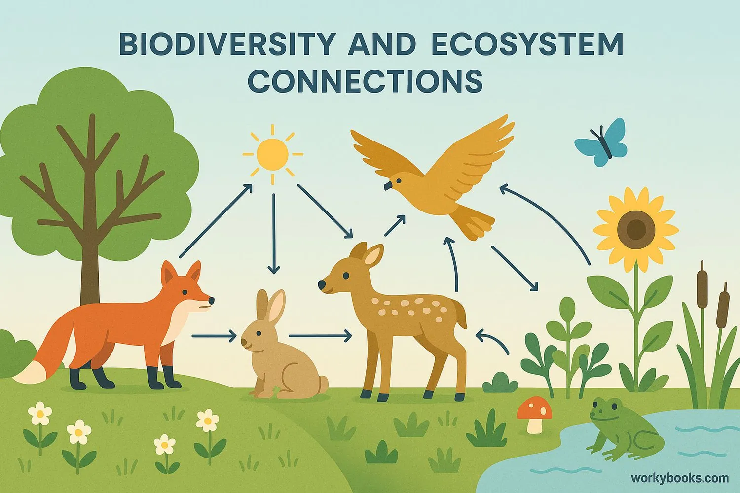 Illustration showing biodiversity and ecosystem connections