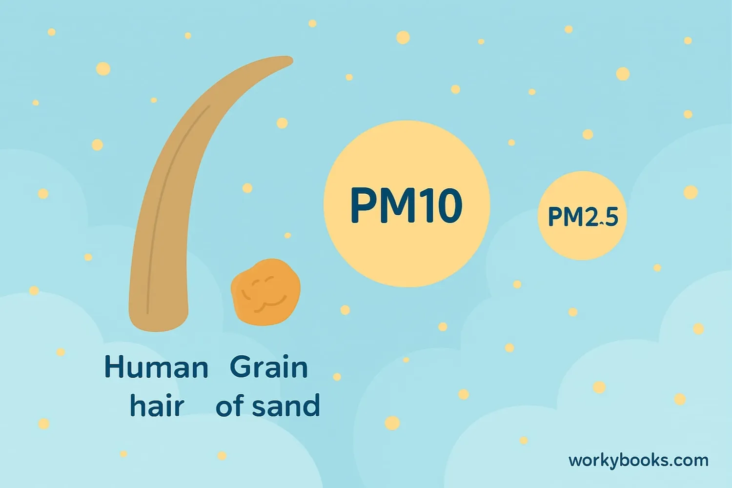 Comparison of PM10 and PM2.5 particle sizes relative to human hair and beach sand