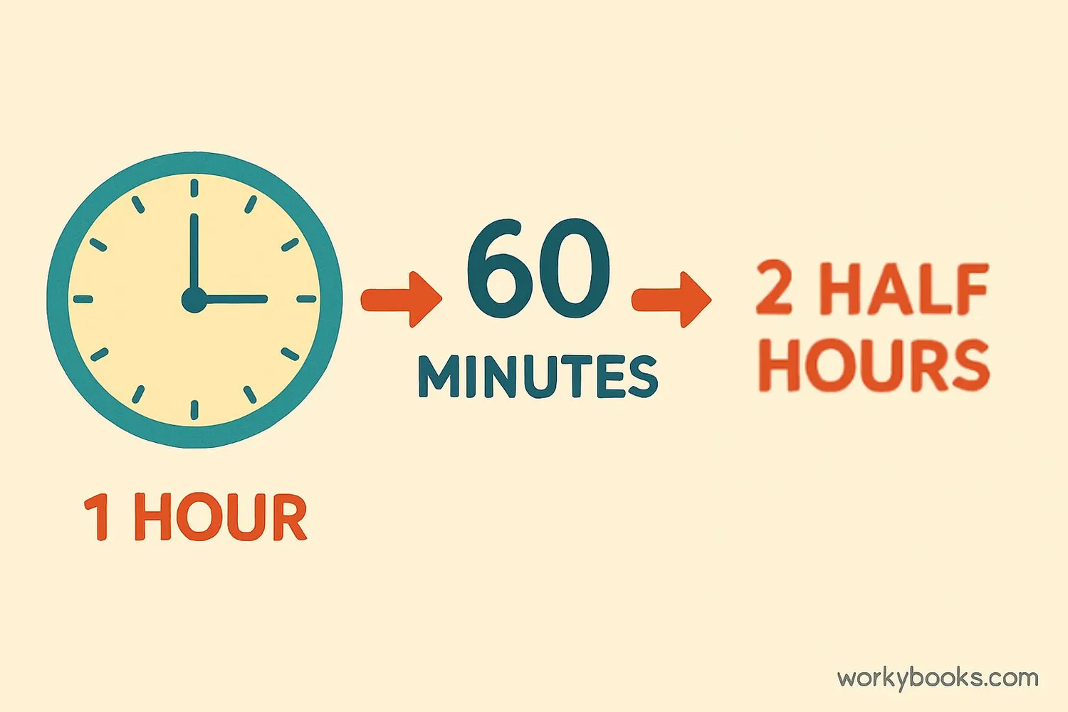 Visual showing the relationship between hours, half hours and minutes