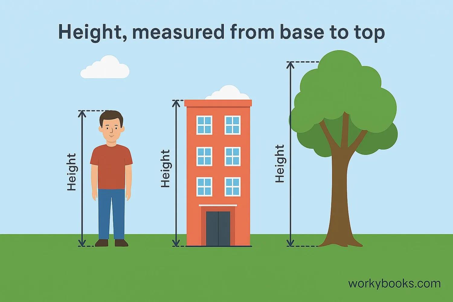Illustration showing how height is measured from base to top of objects and people