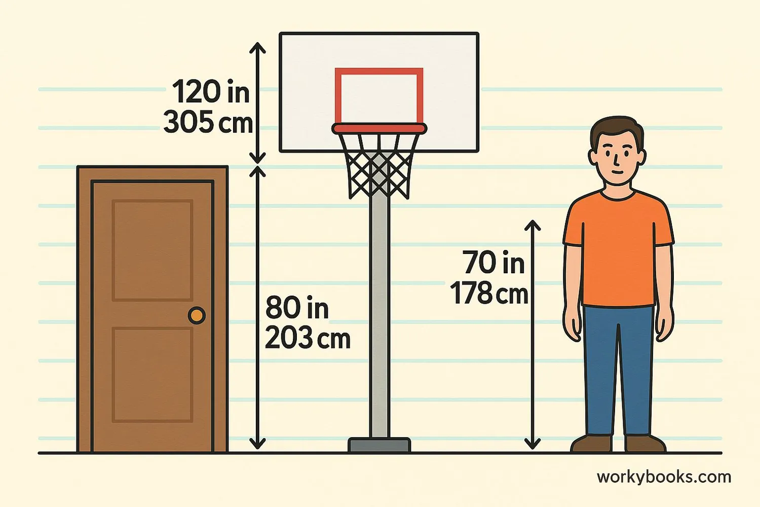 Common objects with their height measurements shown in both imperial and metric units