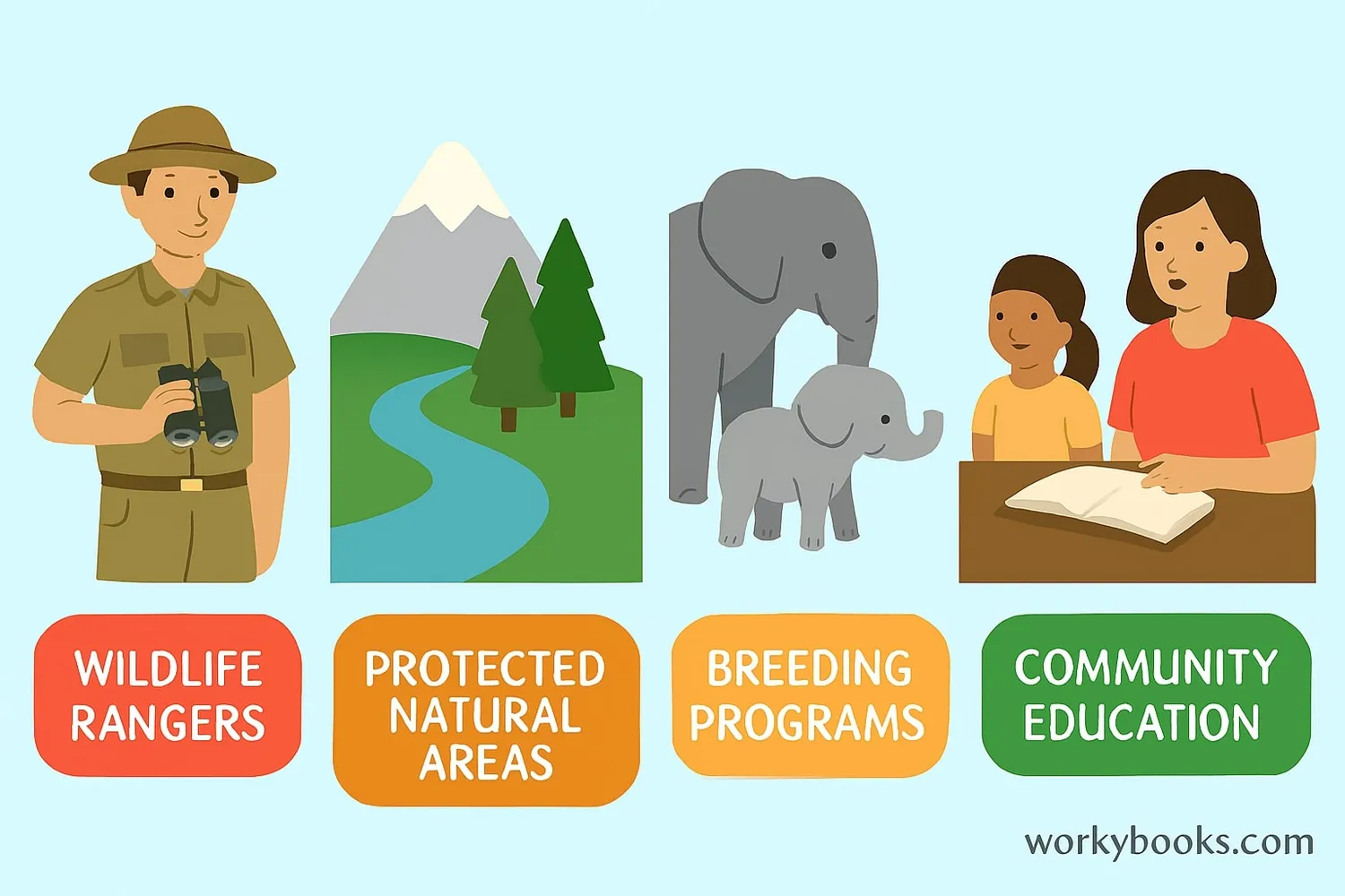 Positive image showing wildlife conservation efforts including protected areas, breeding programs, and anti-poaching patrols