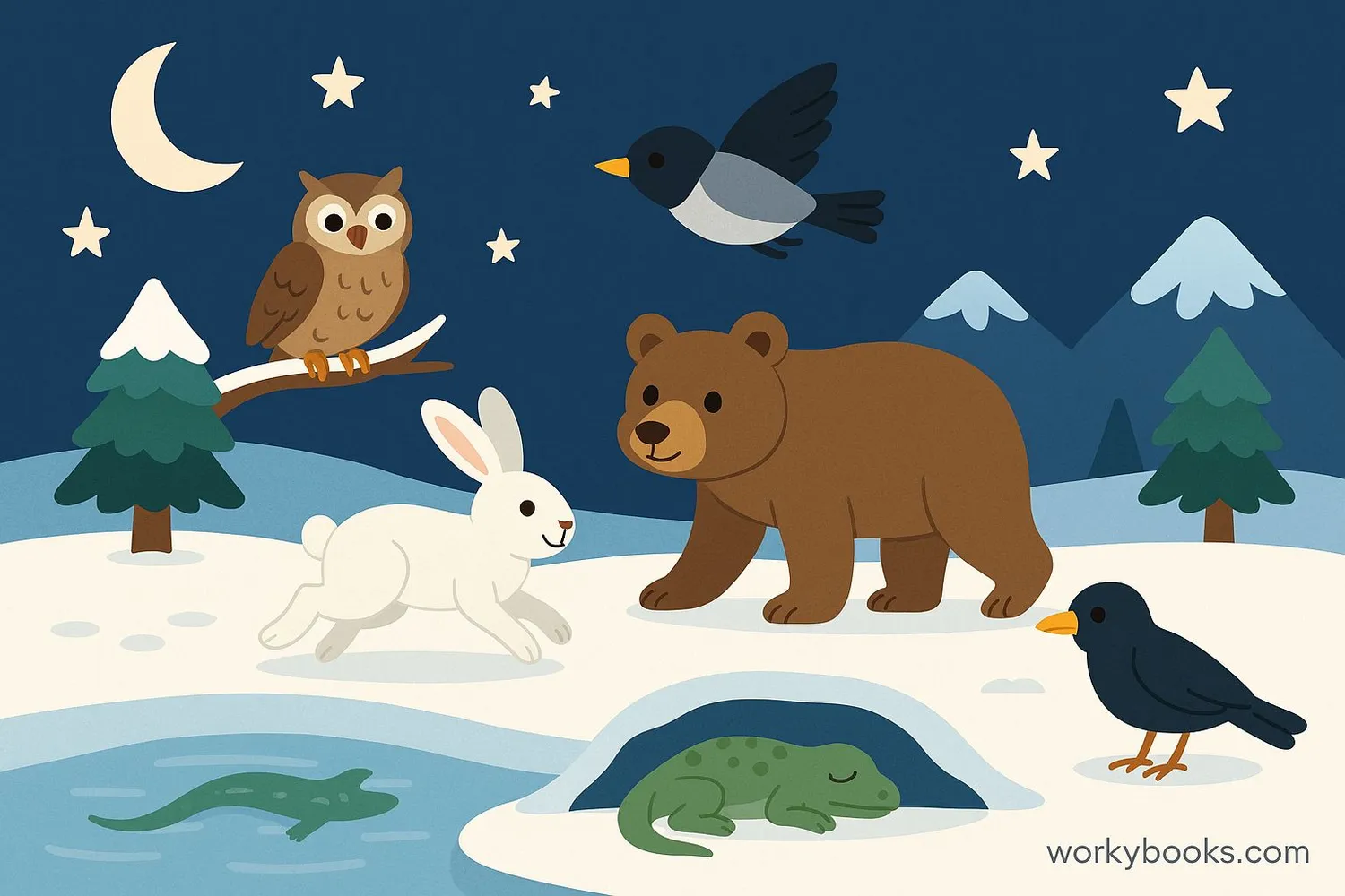 Image showing mammals and birds active in cold environments and at night while reptiles are inactive in these conditions.