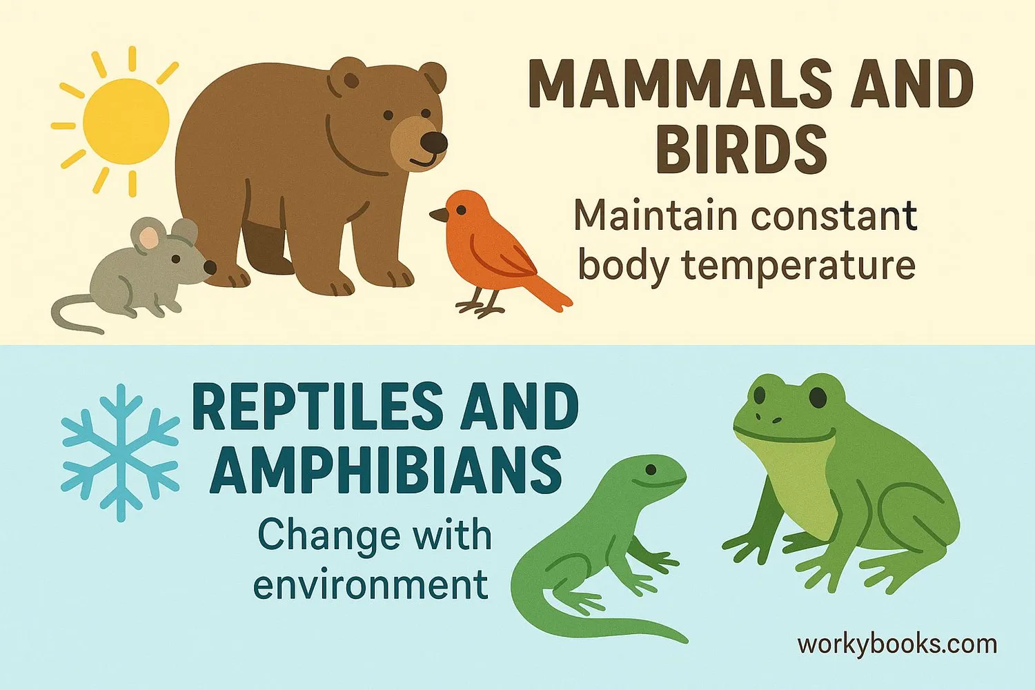 Image showing mammals and birds maintaining constant body temperature while reptiles and amphibians change with environment
