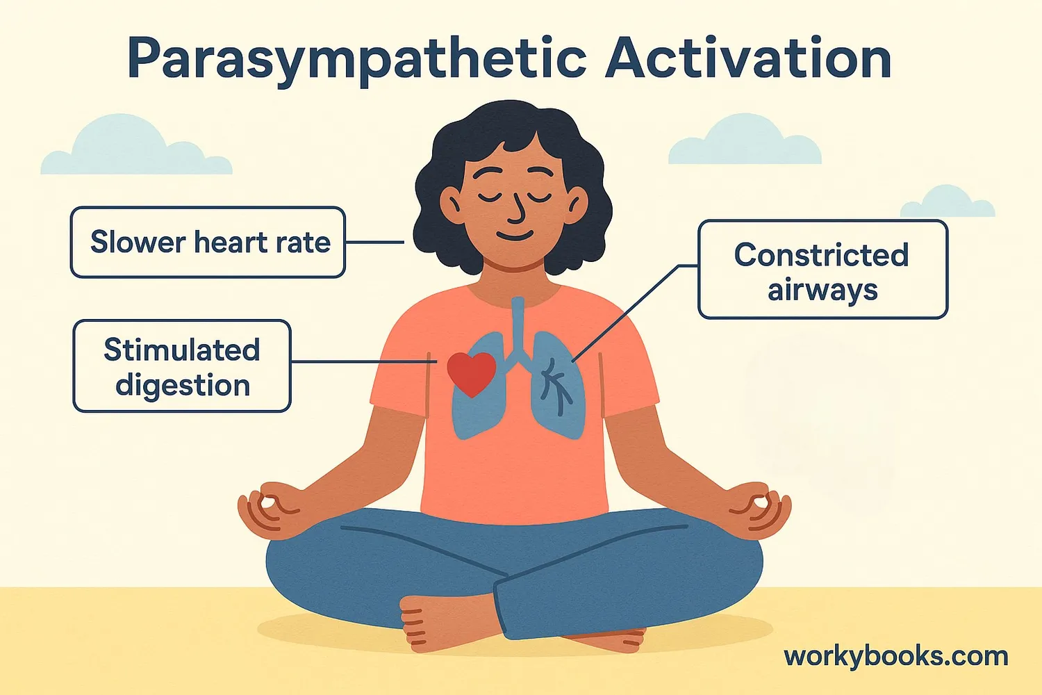 Benefits of parasympathetic nervous system activation
