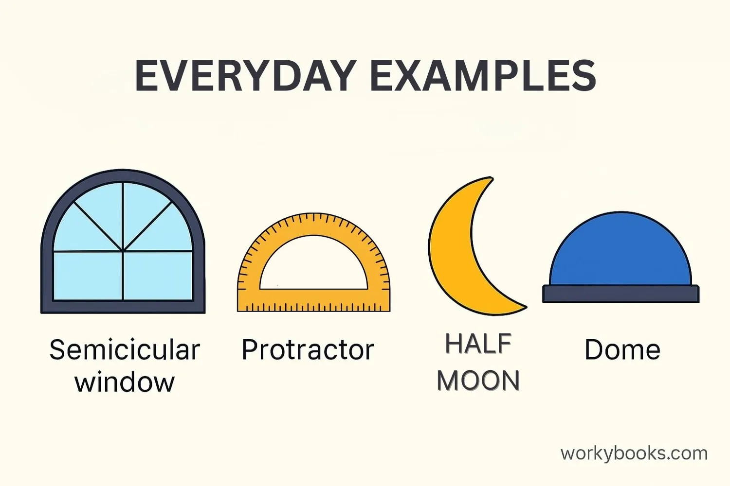 Everyday objects shaped like half circles