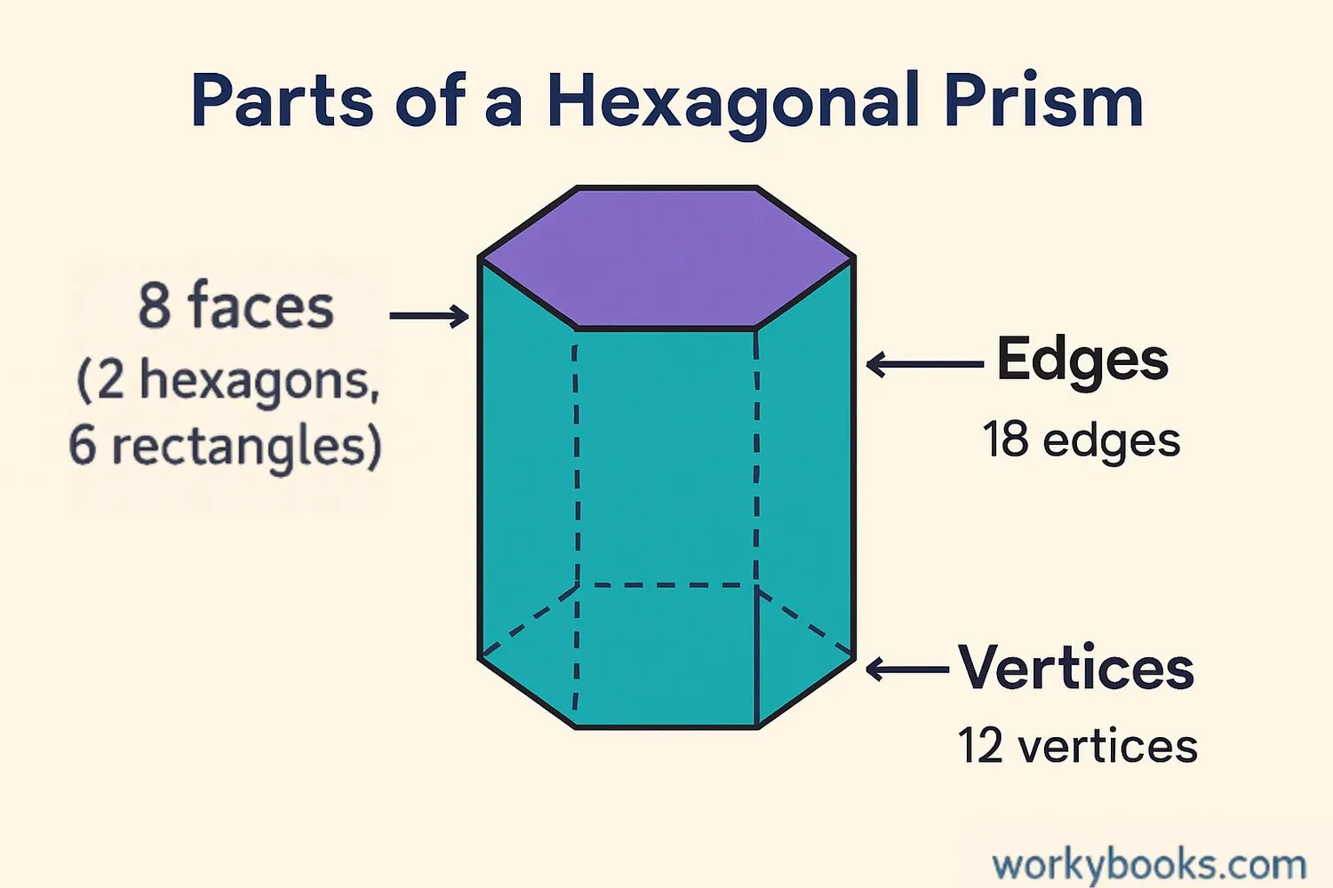 Diagram labeling all parts of a hexagonal prism: faces, edges, vertices, bases