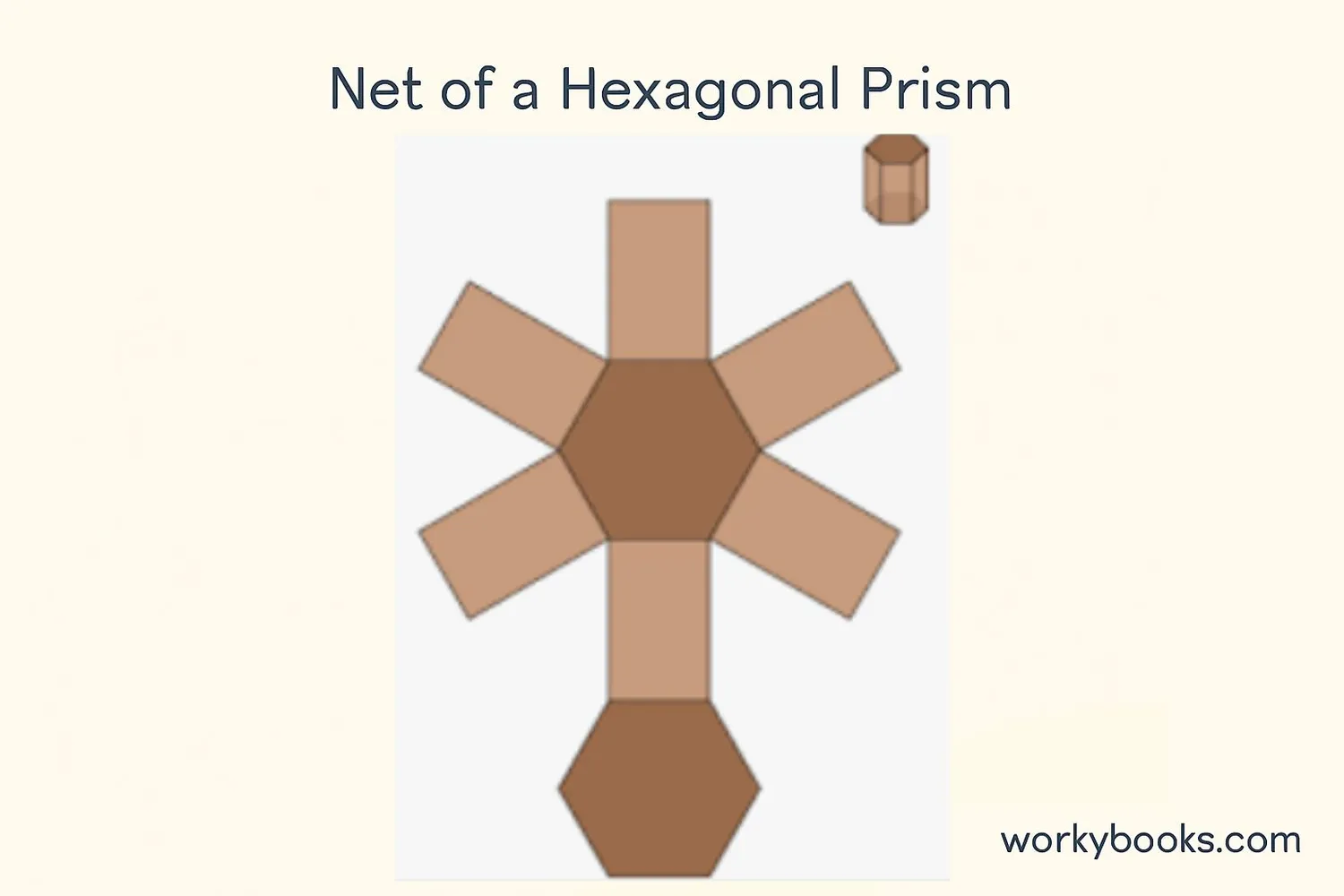 Net of a hexagonal prism showing how the 3D shape can be unfolded into a 2D pattern
