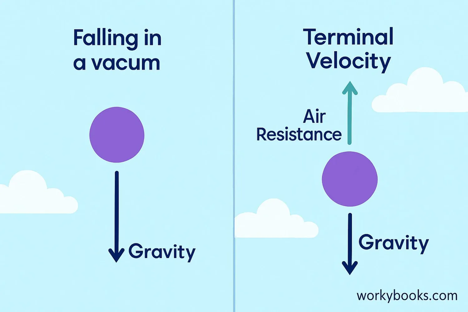 Comparison of free fall with and without air resistance