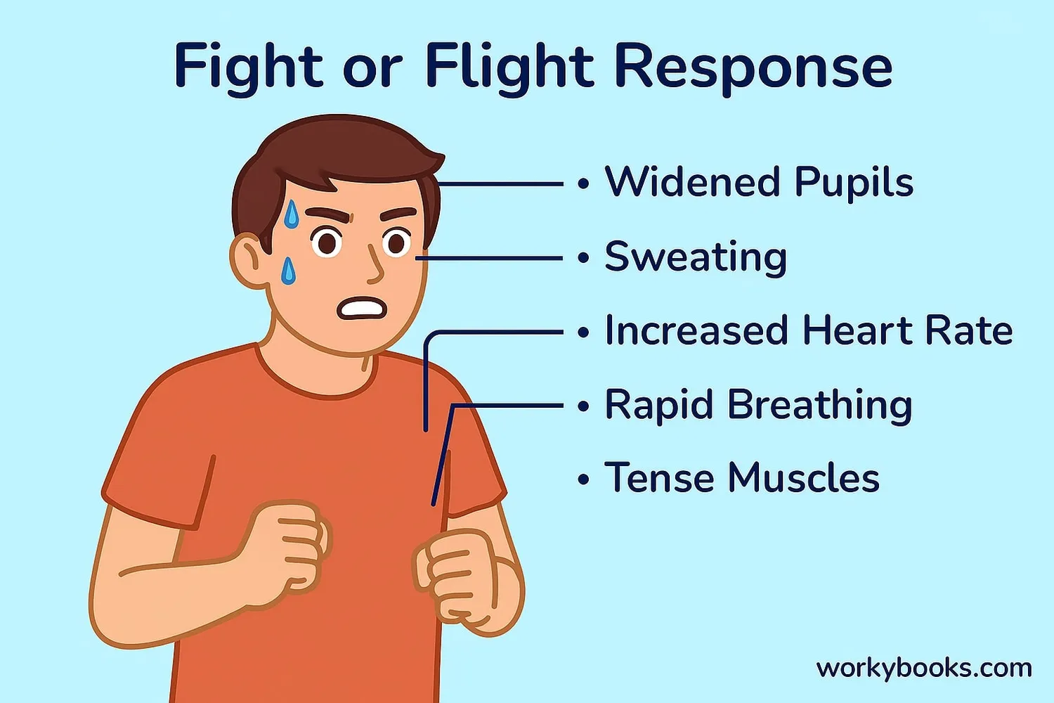 Illustration showing physical changes during fight or flight: widened pupils, faster heartbeat, rapid breathing, and tense muscles