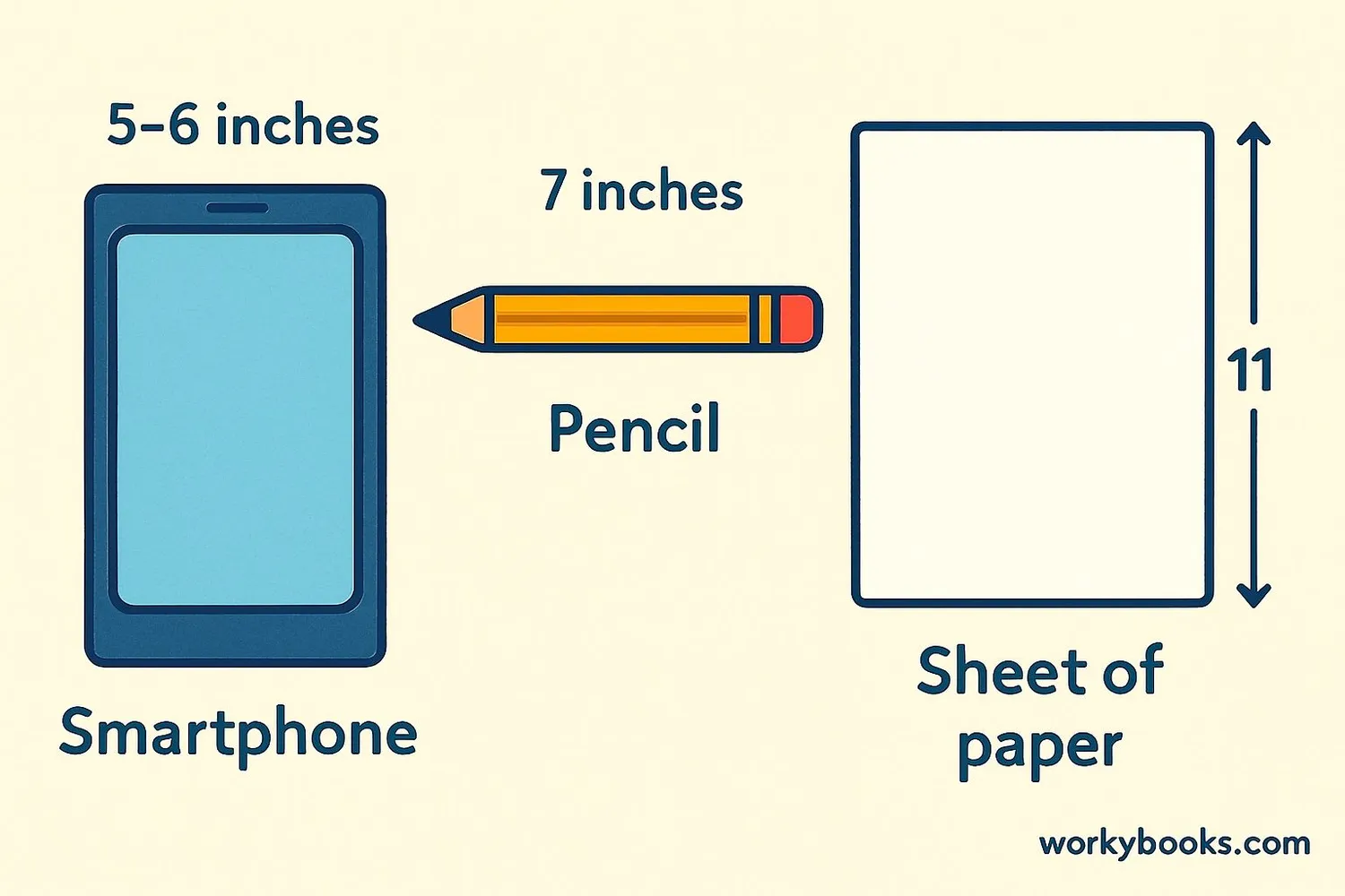 Everyday objects measured in inches