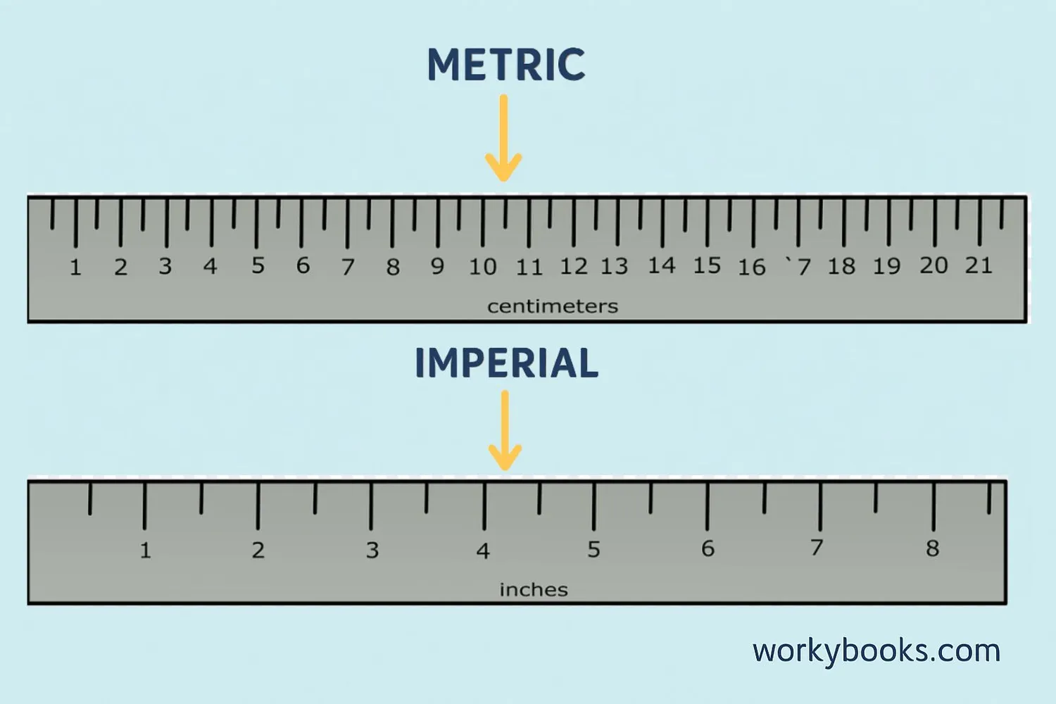 Comparison visual showing metric and imperial rulers