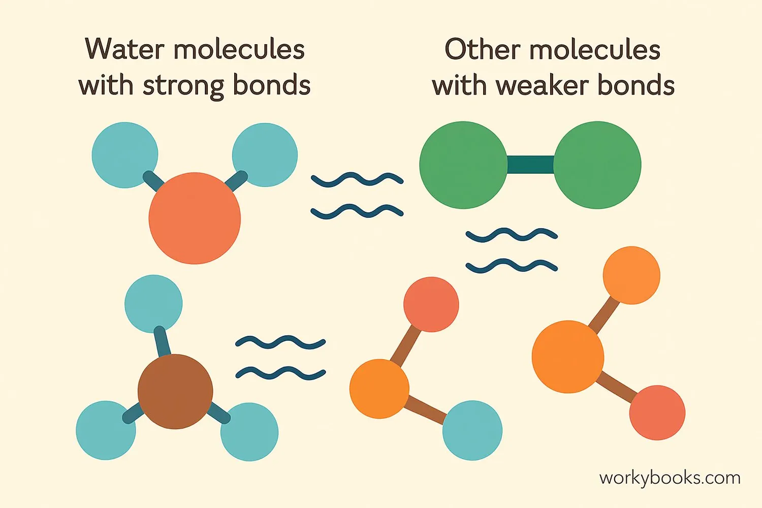 Visual representation of molecules with attraction forces between them