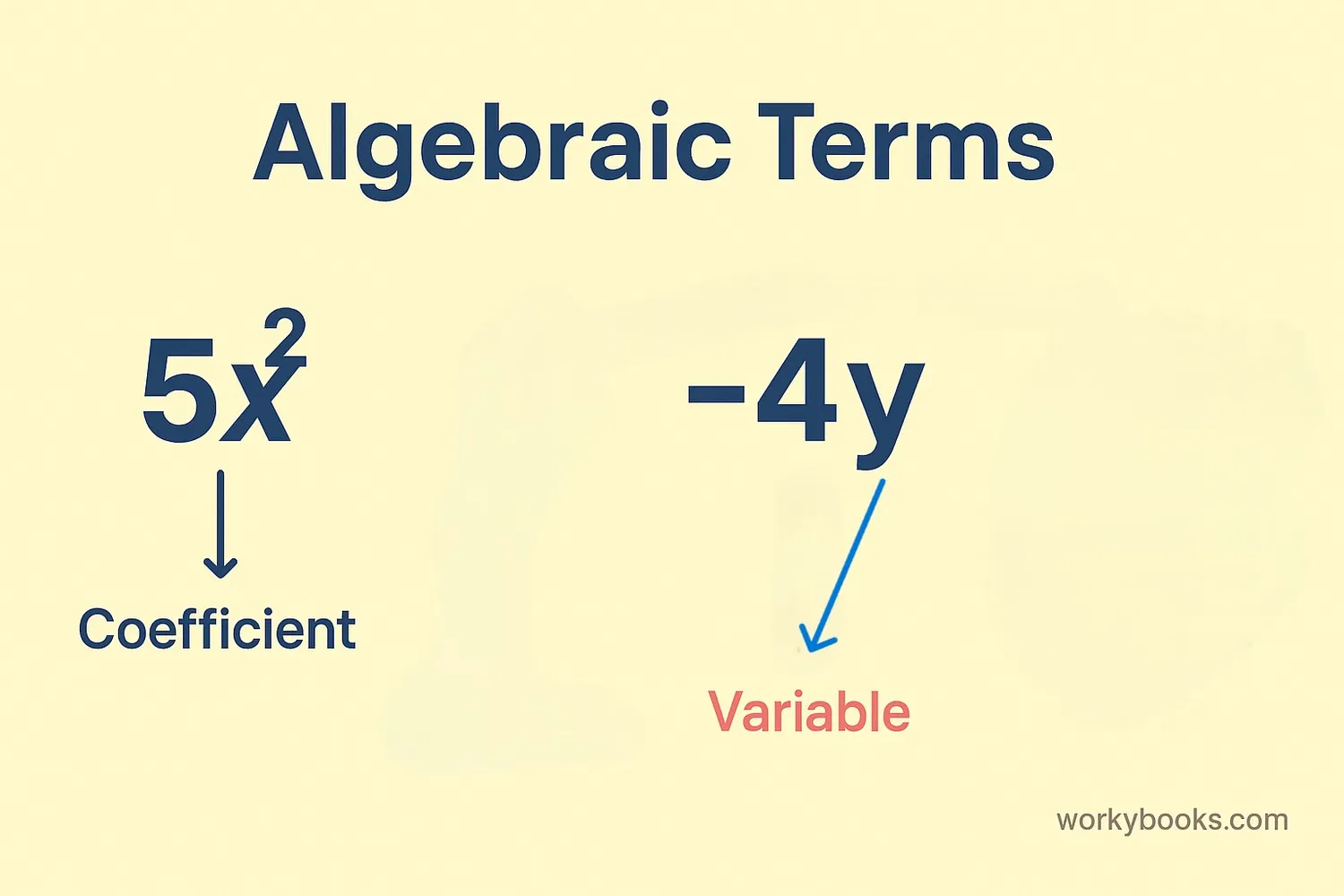 Understanding the parts of algebraic terms