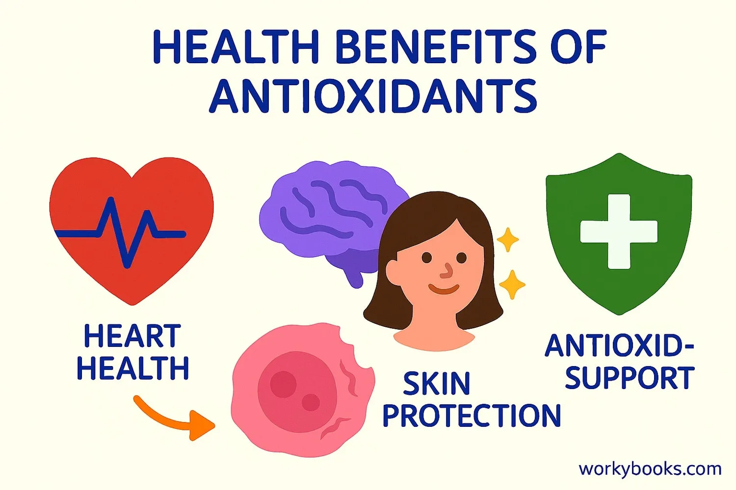 Illustration showing various health benefits of antioxidants