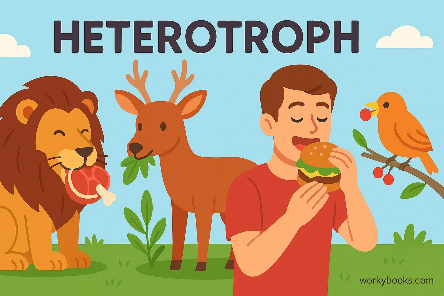 Animals showing consumption of food as heterotrophs