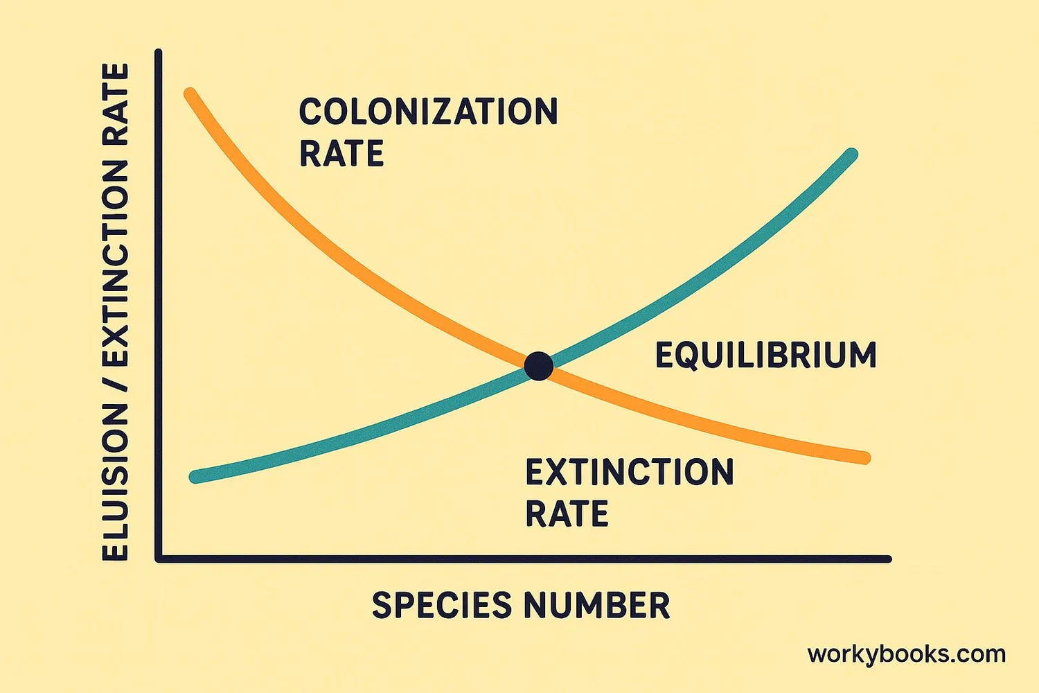 Diagram showing the equilibrium theory of island biogeography with colonization and extinction curves