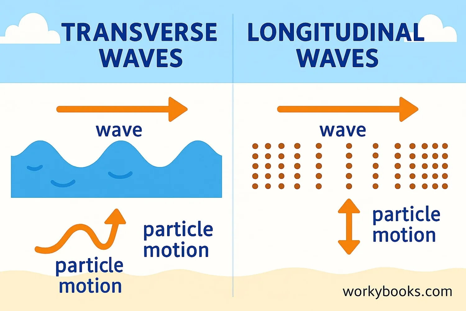 Comparison of transverse and longitudinal wave types