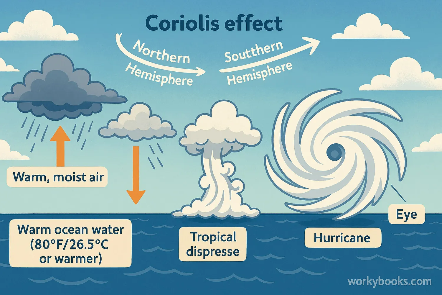 Wide educational illustration showing hurricane formation stages over ocean and land.