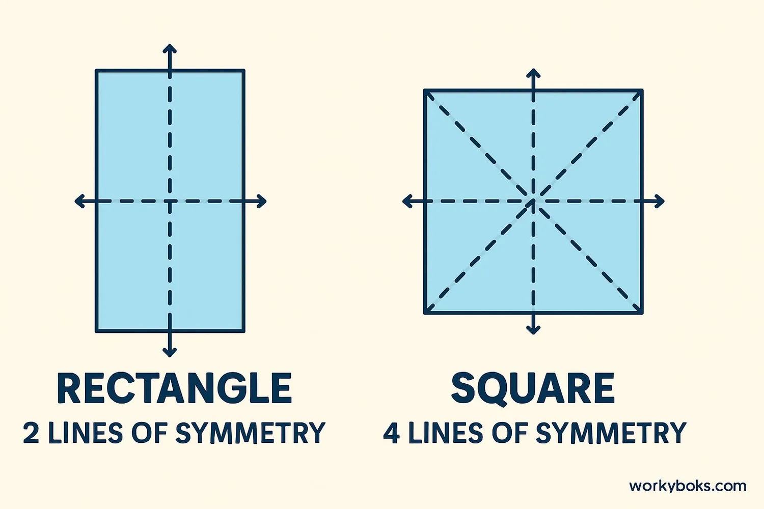 Comparison of symmetry lines in rectangles and squares