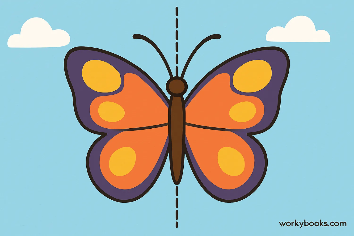 A butterfly with a line down the center showing how both sides are mirror images