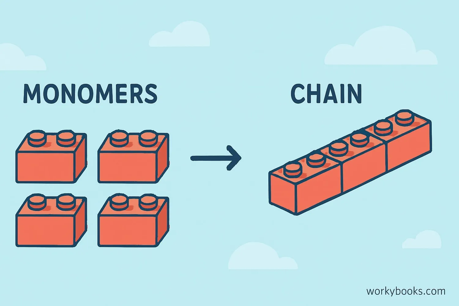 Visual representation of monomers as building blocks