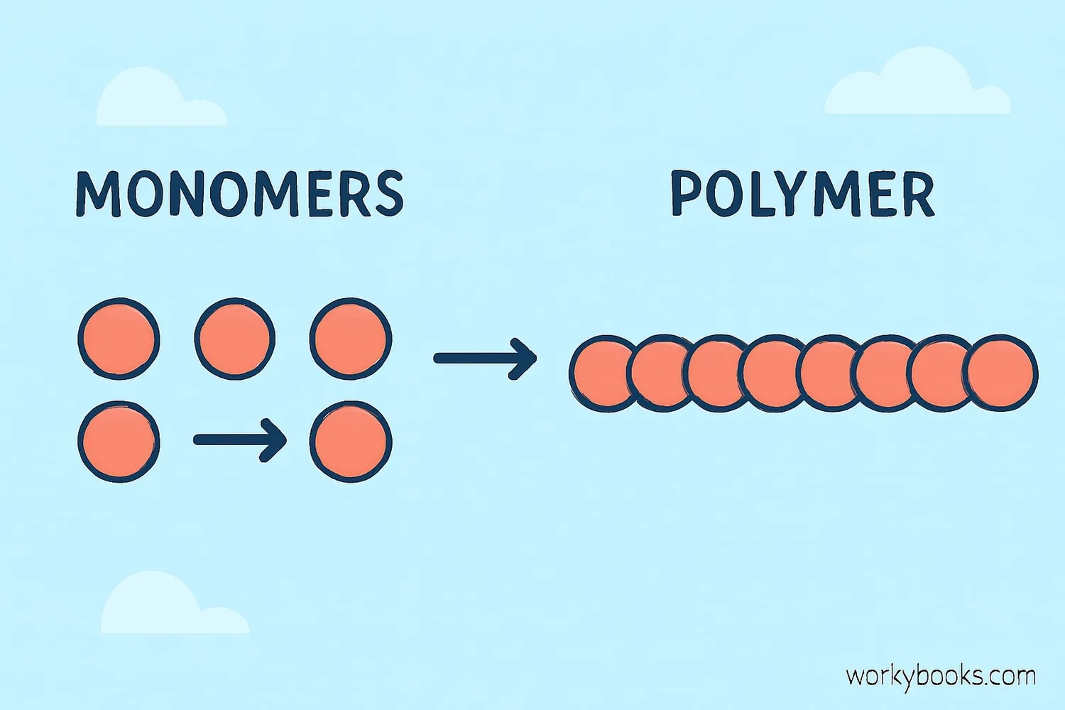 Visual showing monomers linking to form a polymer chain