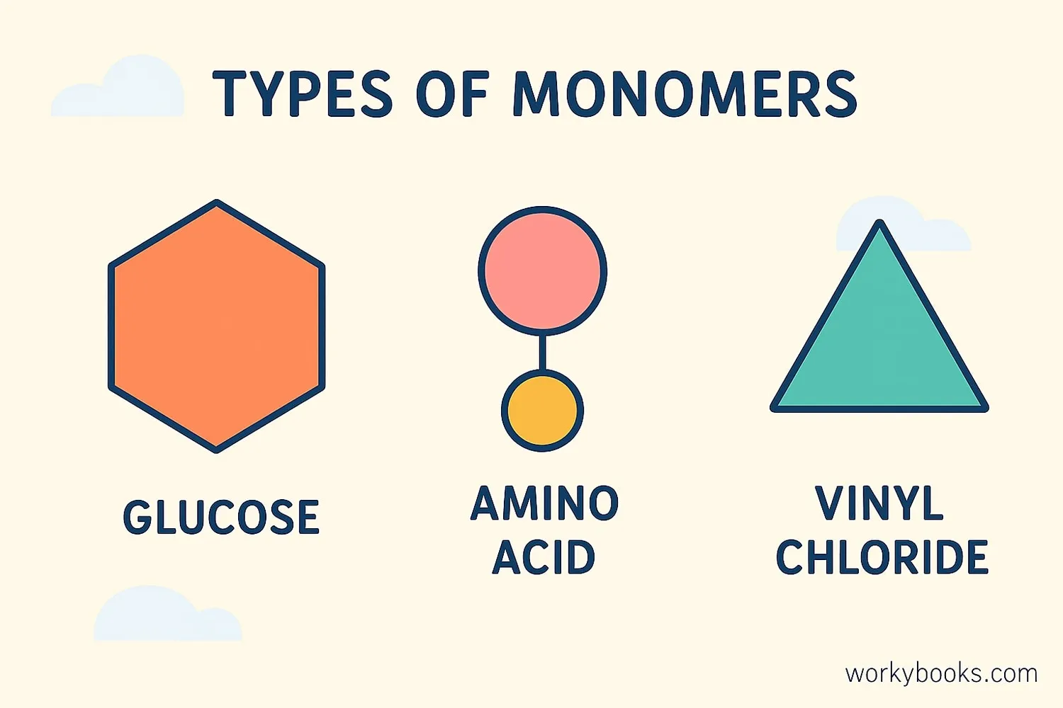 Examples of common monomers