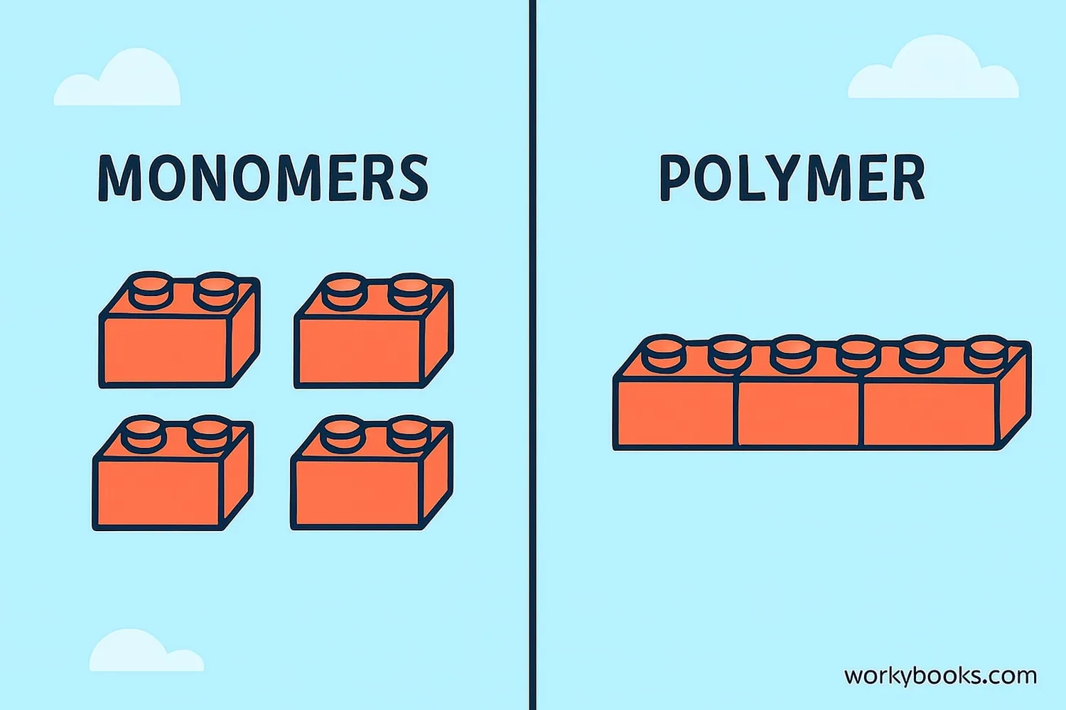 Side-by-side comparison of monomer and polymer structures