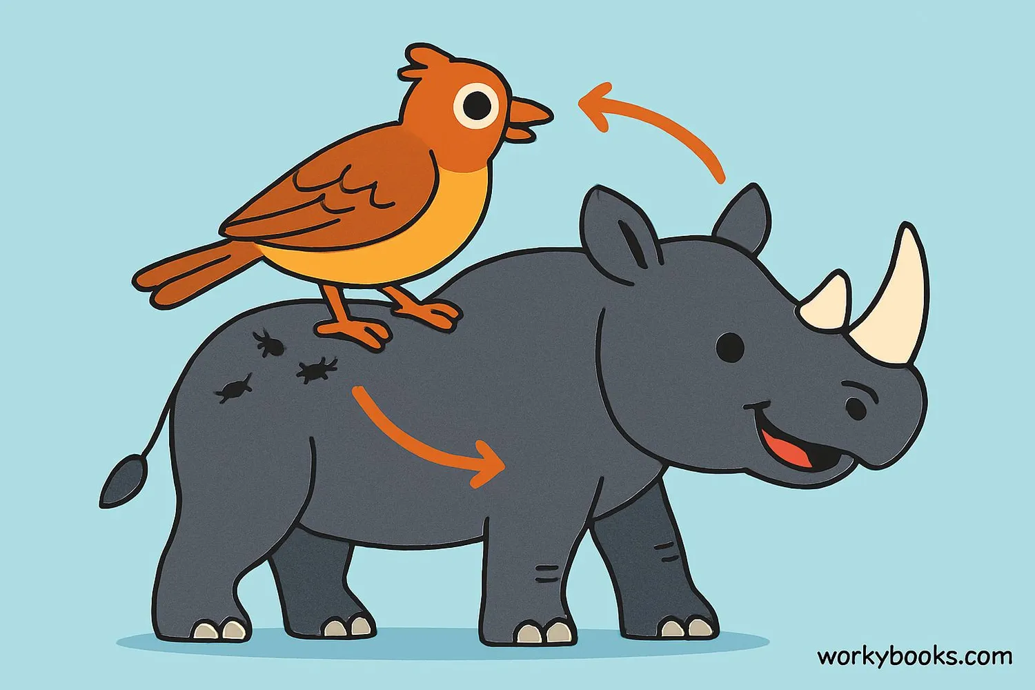 Visual representation of mutualism: