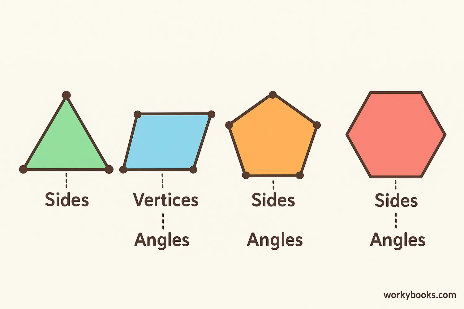 Diagram showing sides, vertices, and angles of different shapes