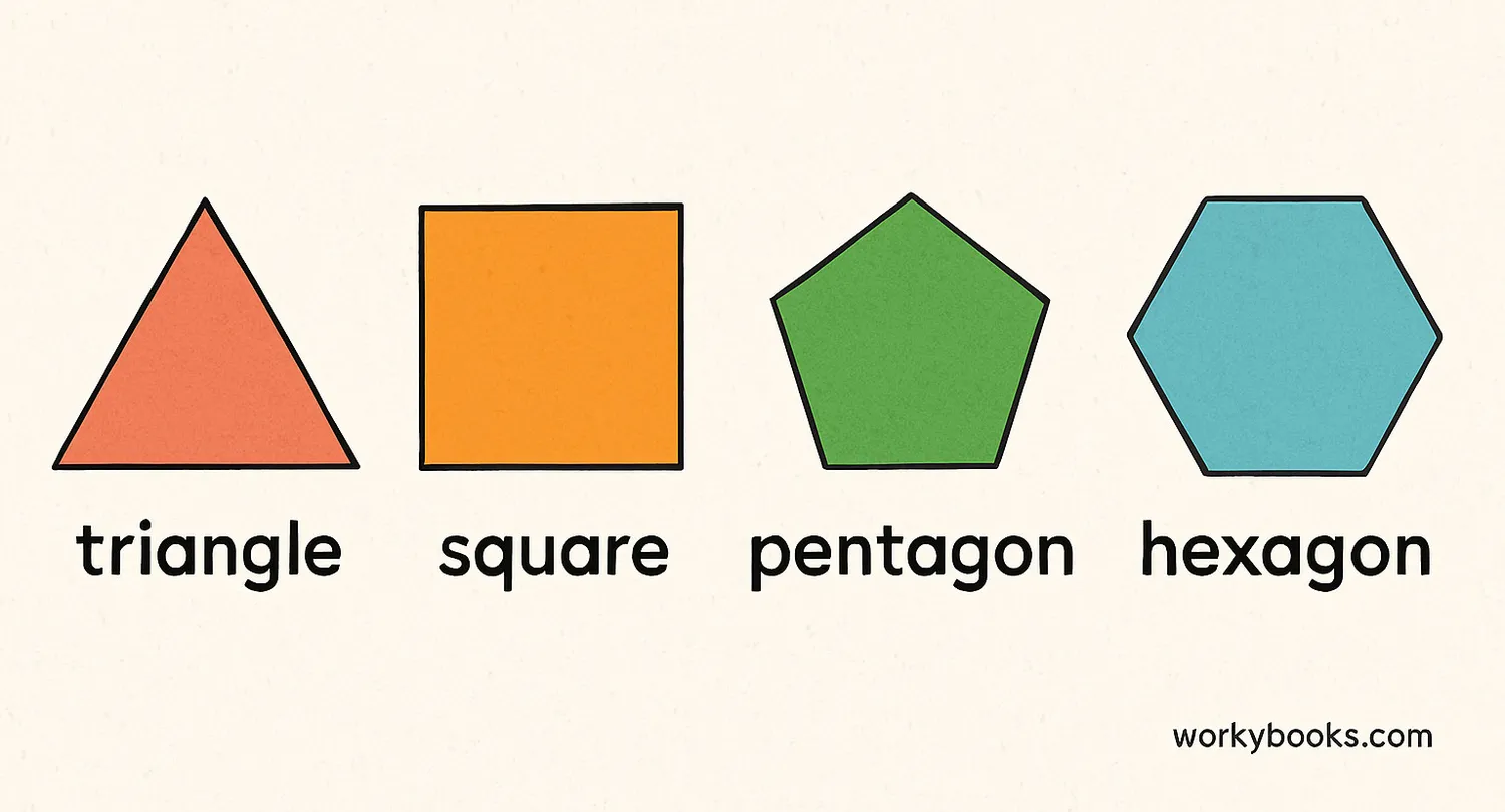 Various polygons with their names - triangle, square, pentagon, hexagon