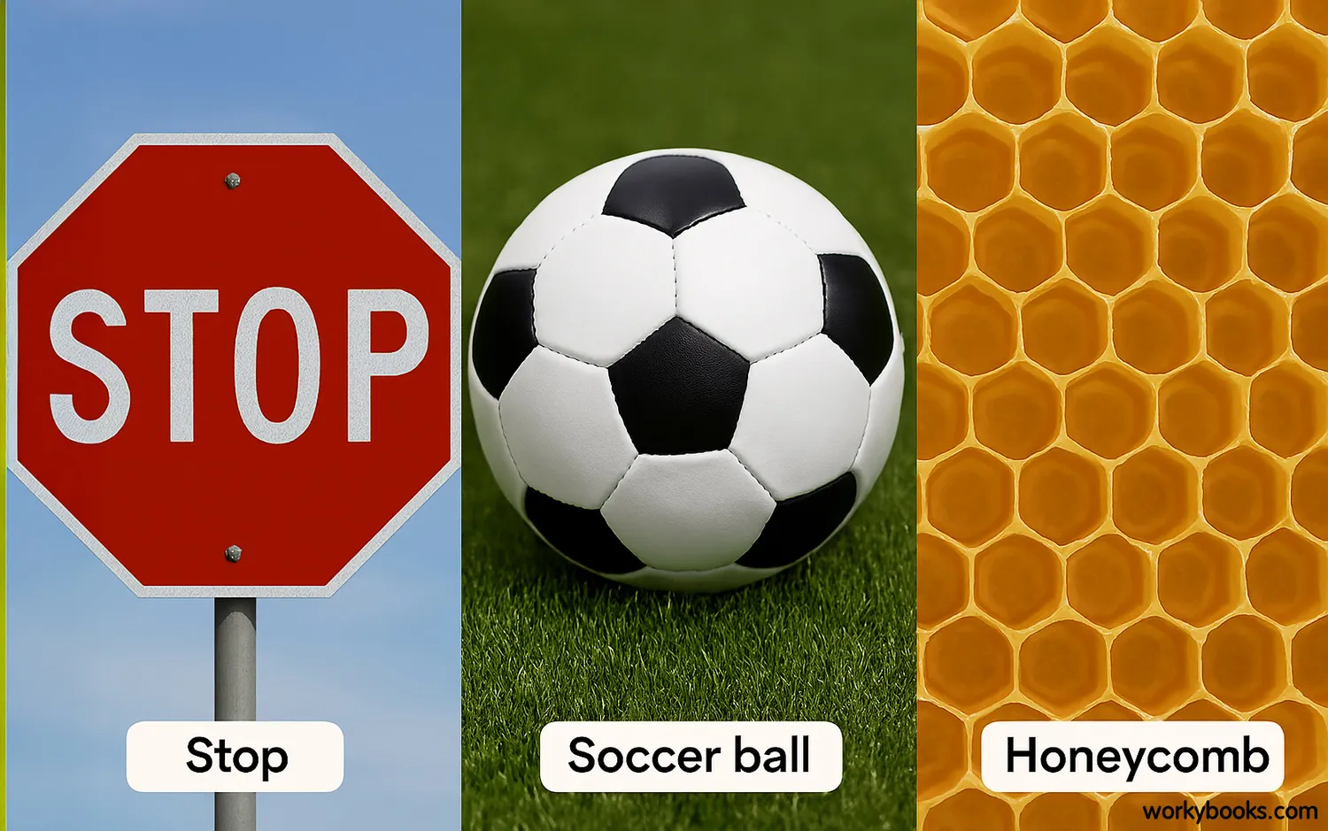 Real-world polygon examples: stop sign, soccer ball pattern, honeycomb