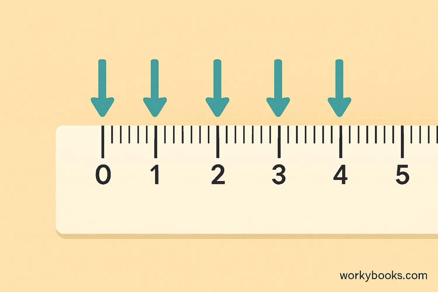 Demonstration of how to read a ruler
