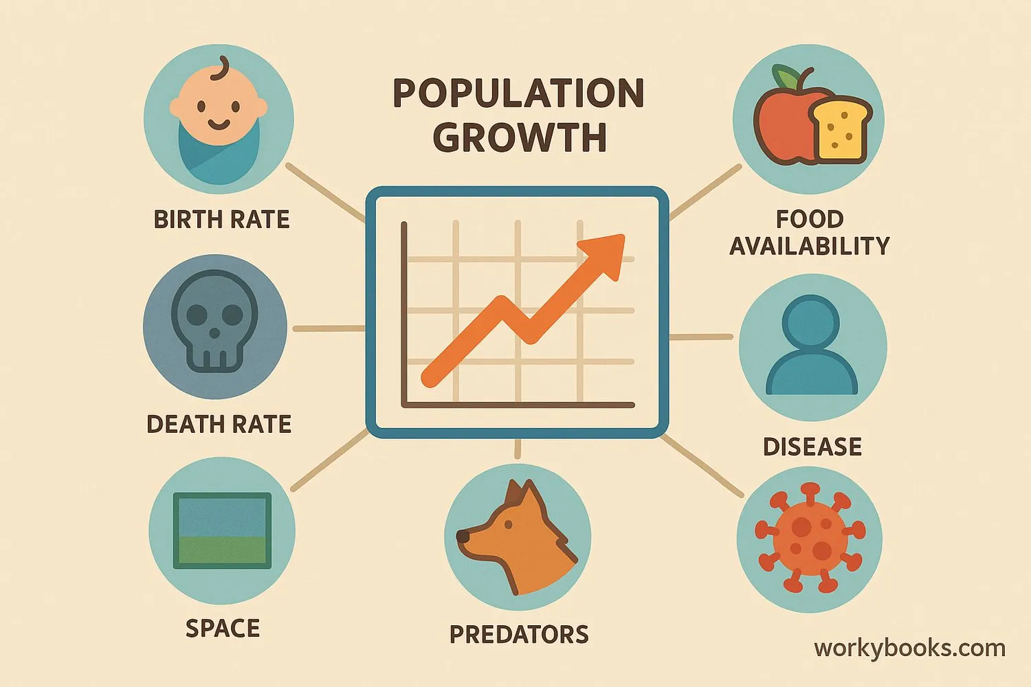 Diagram showing factors that influence population growth including birth rate, death rate, and environmental conditions